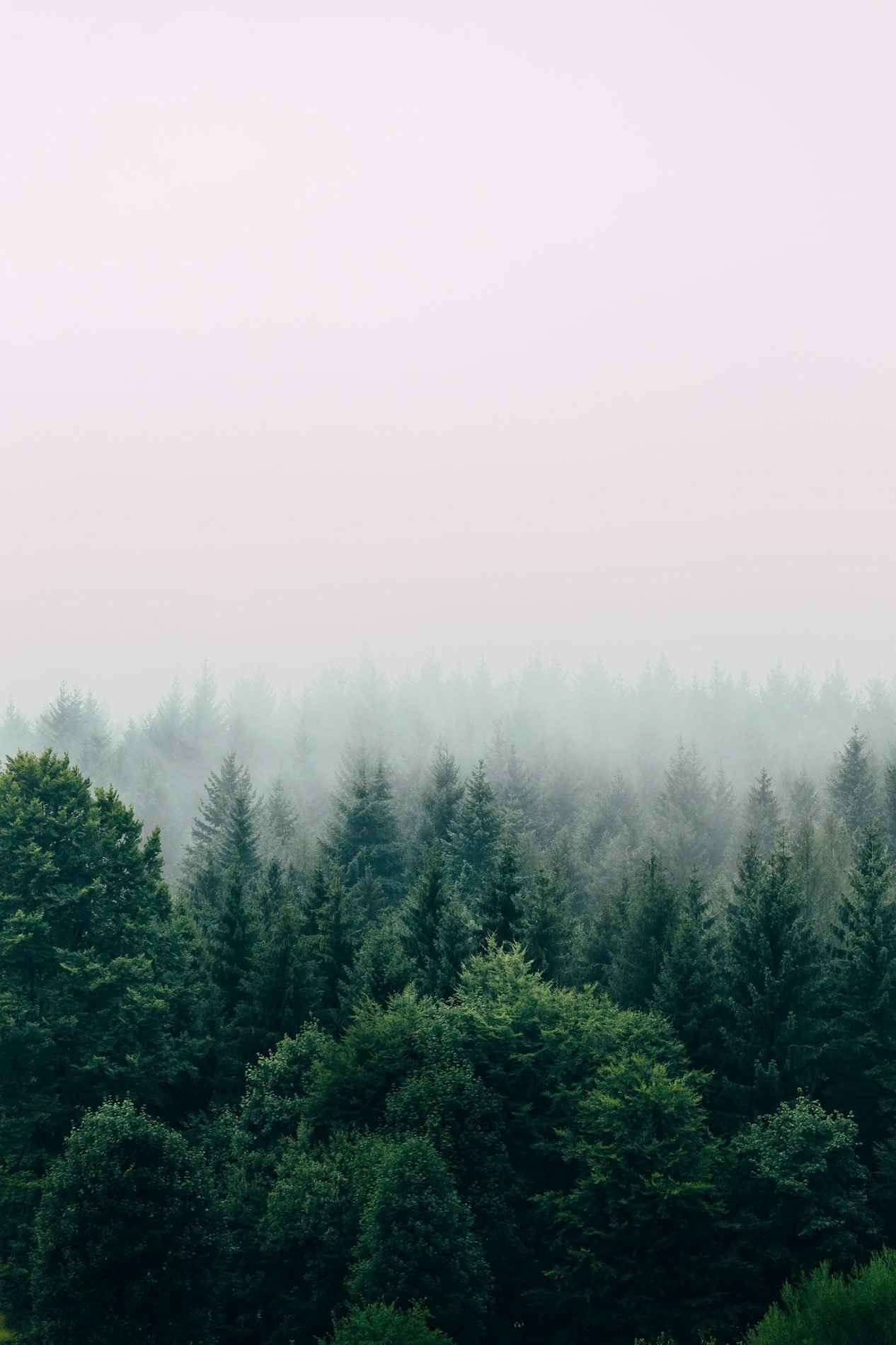 Finland: pure nature
